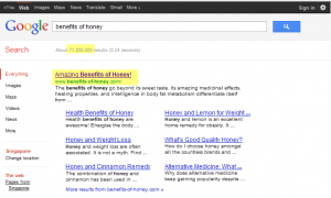 Google Search Honey Results for google for keyword Benefits of Honey